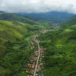 бели вит