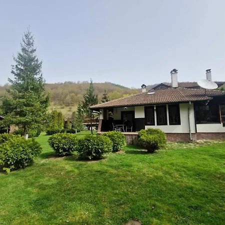 бели вит 리바리차