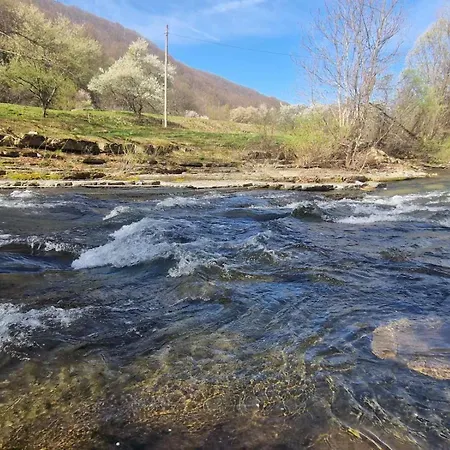 빌라 бели вит