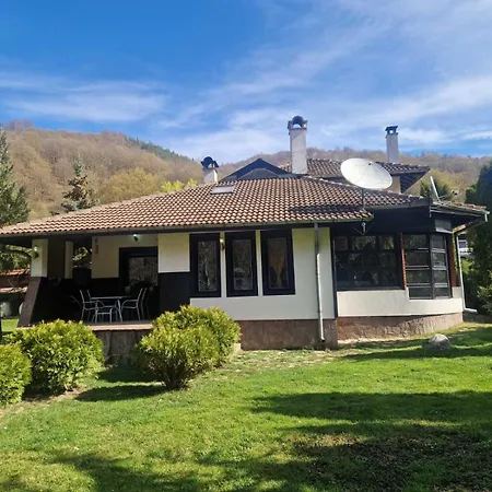 бели вит 빌라 *