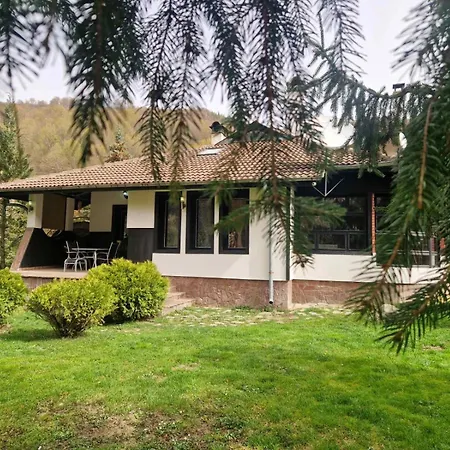 Vila бели вит