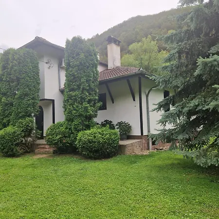 Beli Vit Villa Ribarica