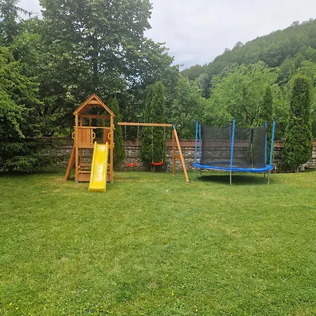 бели вит * 리바리차