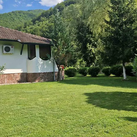 бели вит * 리바리차