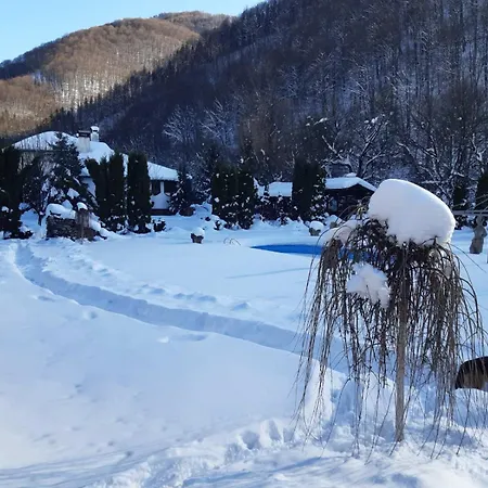 빌라 бели вит