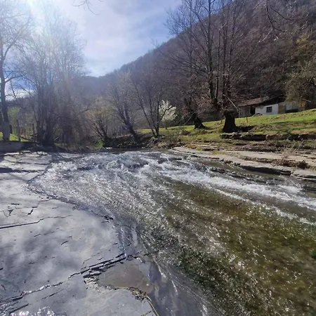 빌라 бели вит *