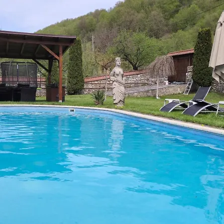 бели вит * 리바리차