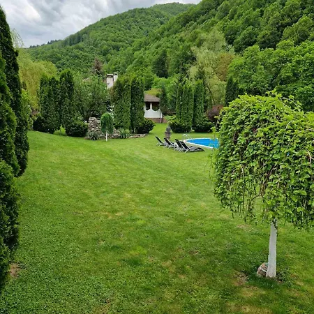 бели вит 빌라 *