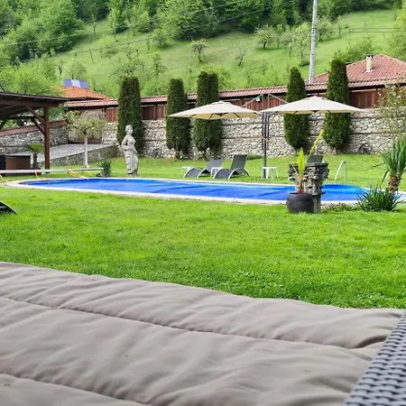 бели вит Vila Ribarica