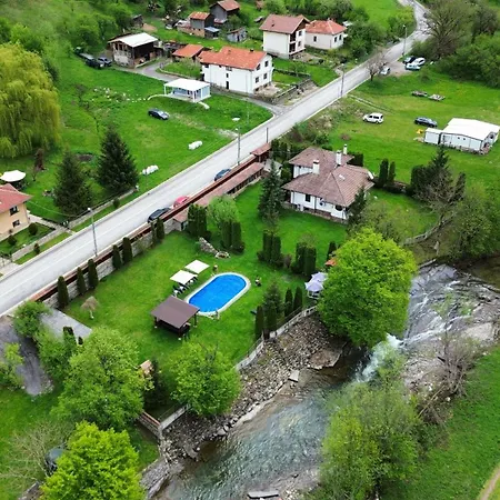 бели вит Vilă *