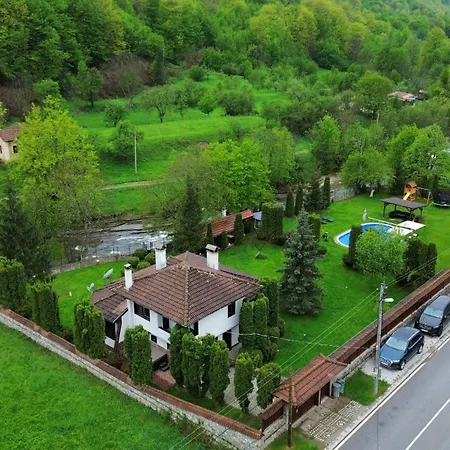 бели вит