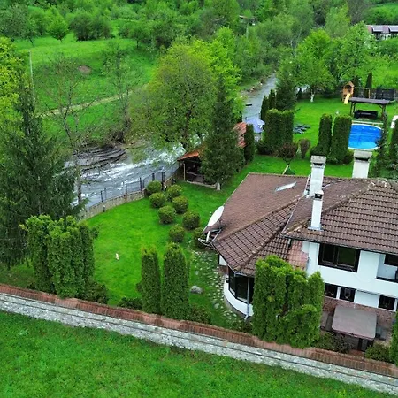бели вит Vila