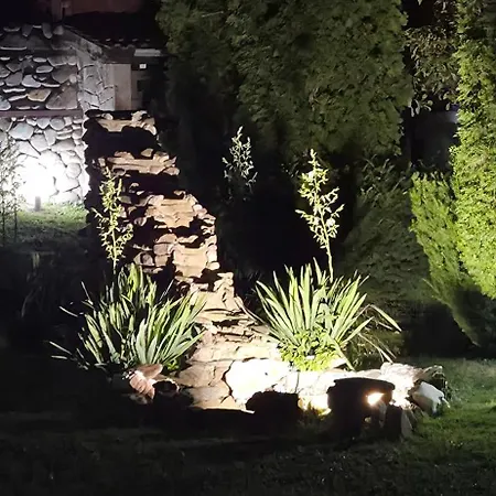 Vila бели вит