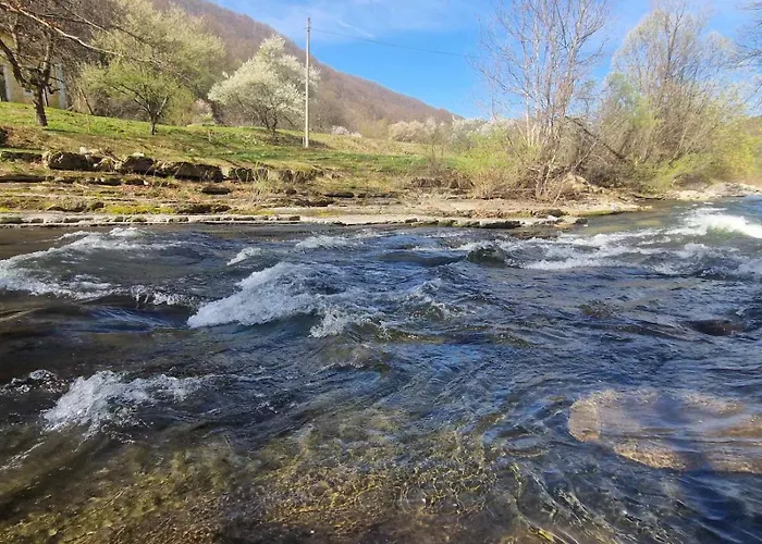 Willa бели вит