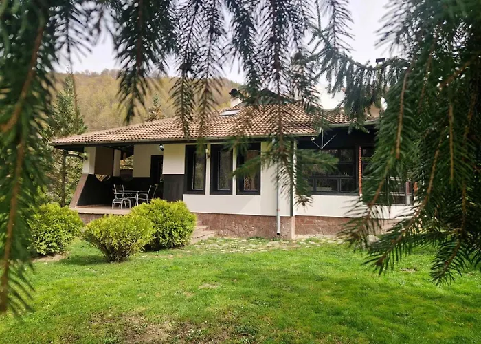 Willa бели вит