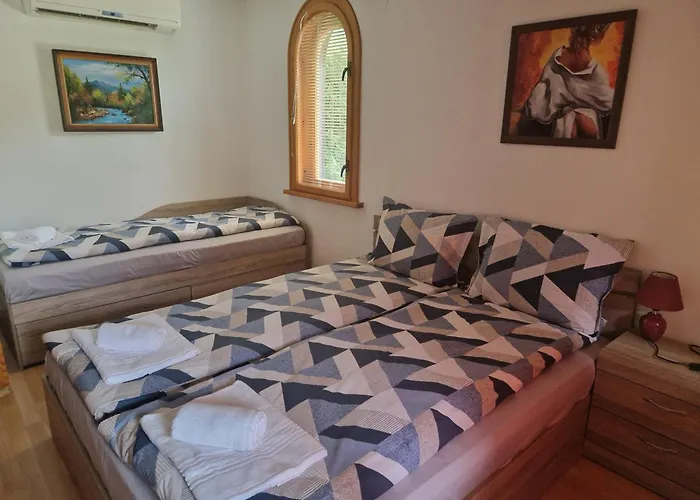 бели вит Willa