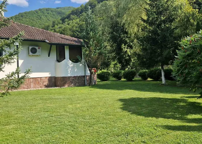 бели вит * Ribaritsa