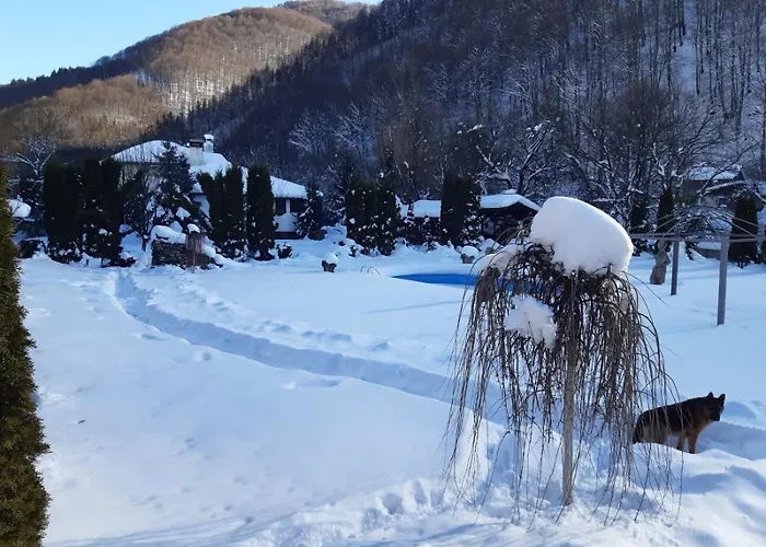 Villa бели вит