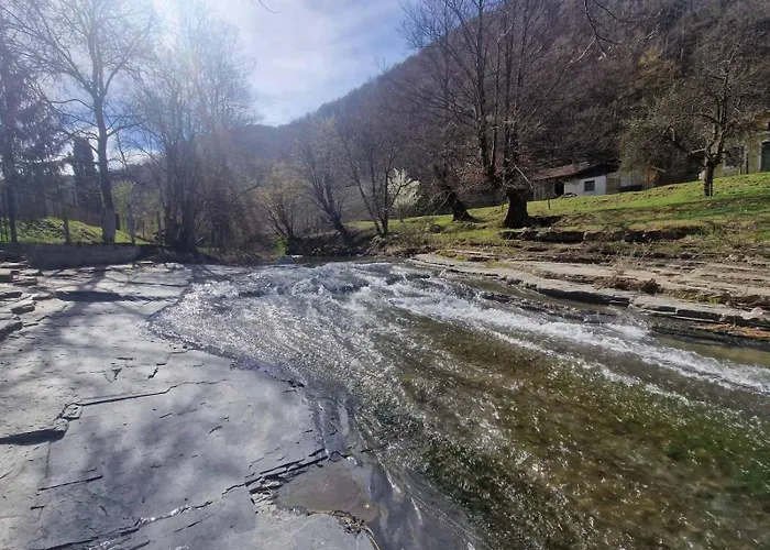 Villa бели вит *