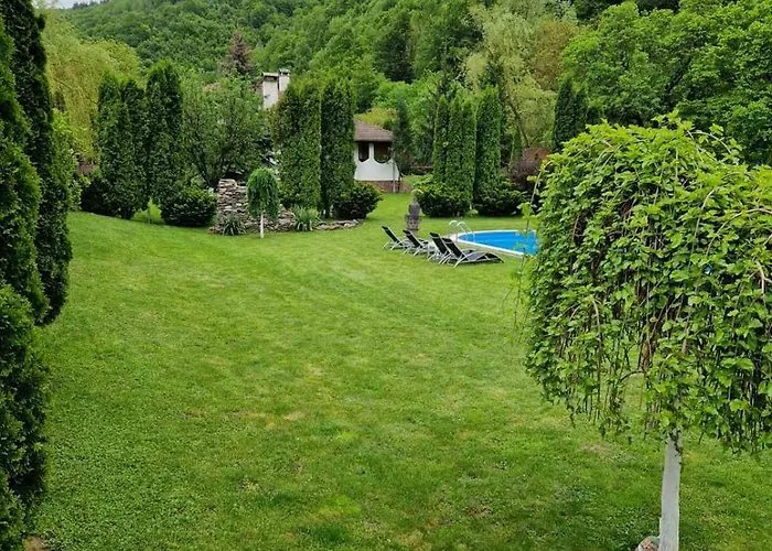 бели вит Willa *