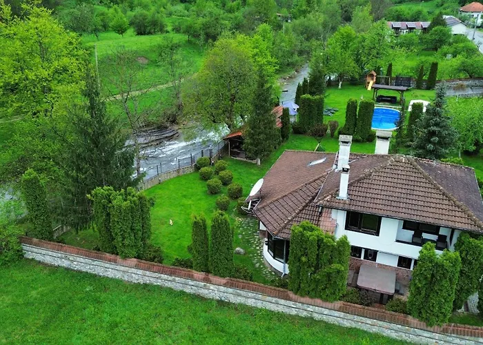 бели вит Willa